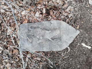 画像に含まれている可能性があるもの:木、屋外